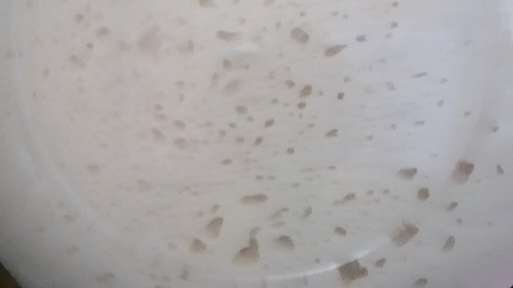 発酵完了
